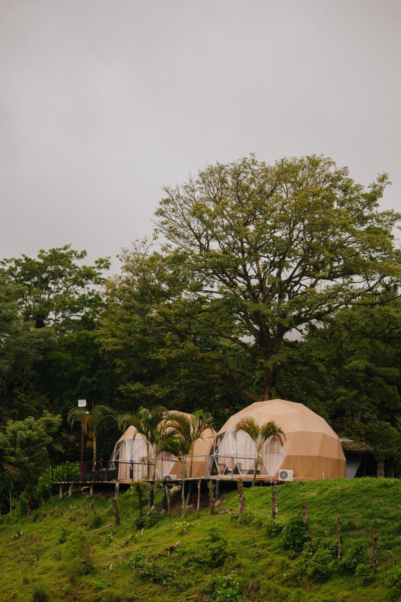 מלון El Castillo Pura Vista Glamping מראה חיצוני תמונה